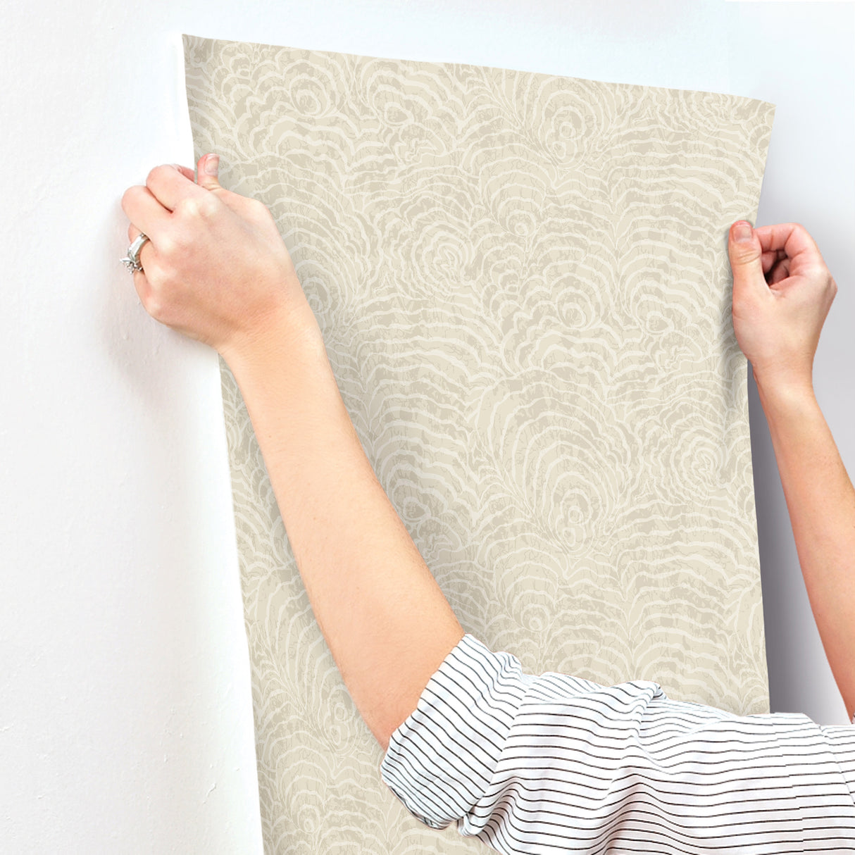 Eade’s Ocean Jasper Beige