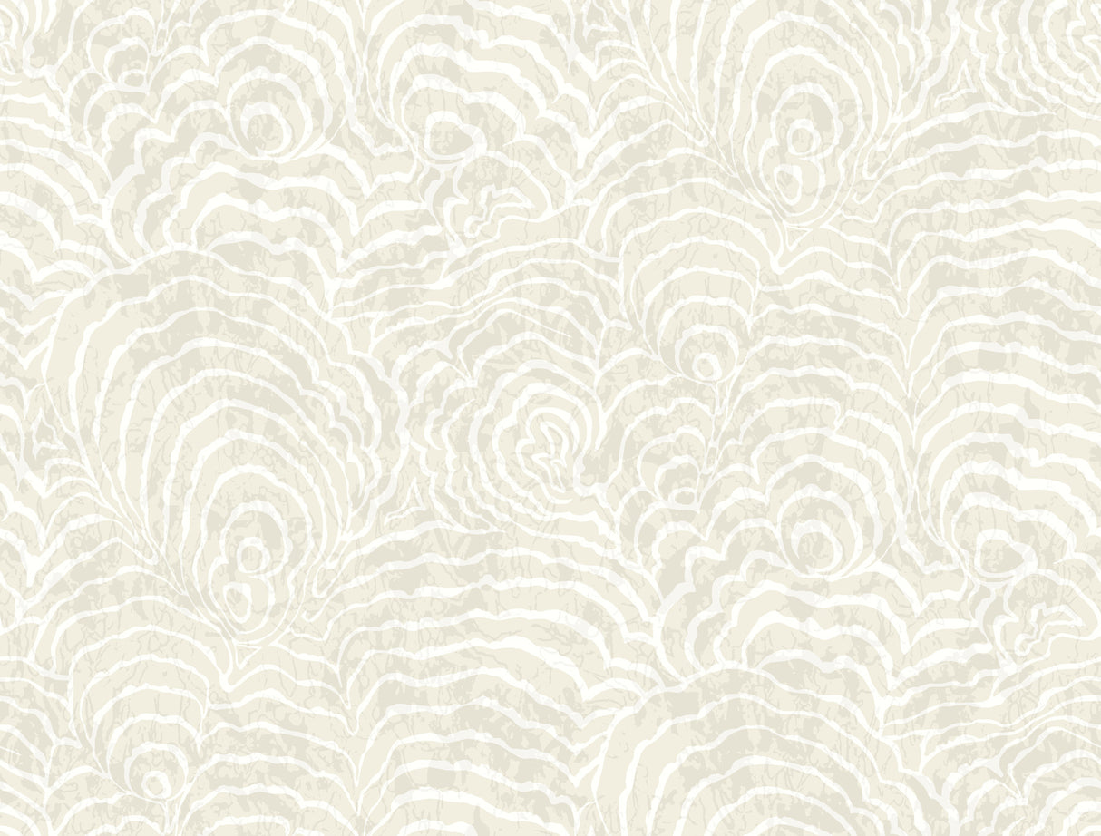 Eade’s Ocean Jasper White