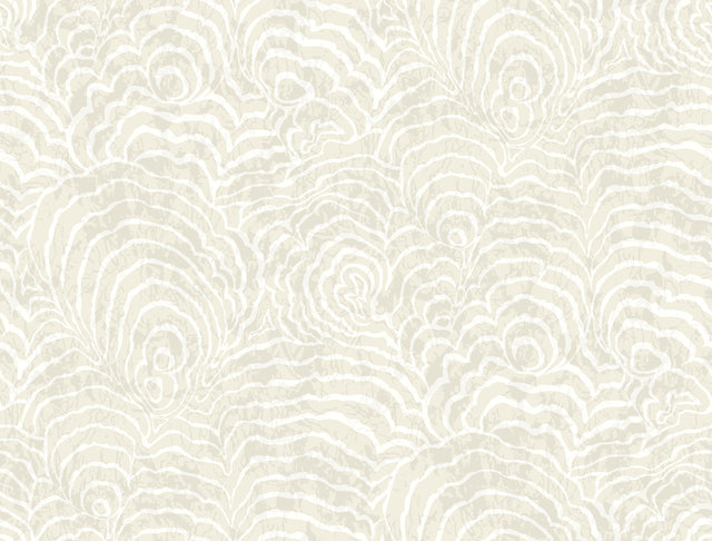 Eade’s Ocean Jasper White
