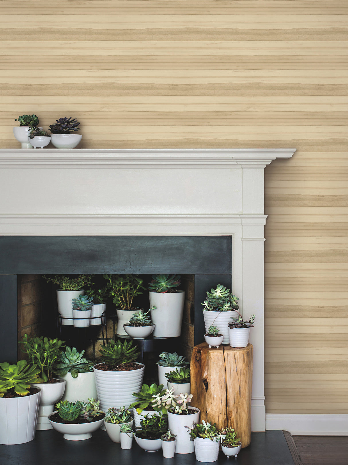 York GO8261 Pandora Leaf Oak Wallpaper