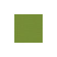 KRAVET DESIGN GR-54011-0000.0.0 CANVAS GINKGO Fabric - Eade's Wallpaper
