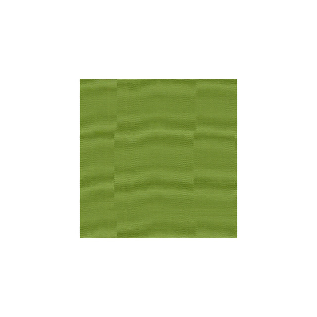 KRAVET DESIGN GR-54011-0000.0.0 CANVAS GINKGO Fabric - Eade's Wallpaper