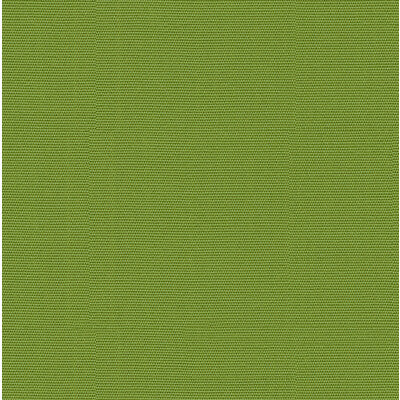 KRAVET DESIGN GR-54011-0000.0.0 CANVAS GINKGO Fabric - Eade's Wallpaper