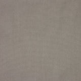 KRAVET DESIGN GR-5461-0000.0.0 CANVAS TAUPE Fabric - Eade's Wallpaper