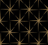 York GR5941 Evening Star Black Wallpaper