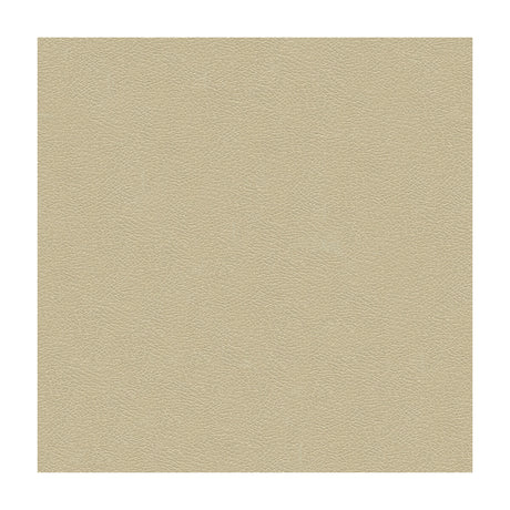 KRAVET DESIGN GRANA.1116.0 KRAVET DESIGN GRANA-1116 Fabric - Eade's Wallpaper