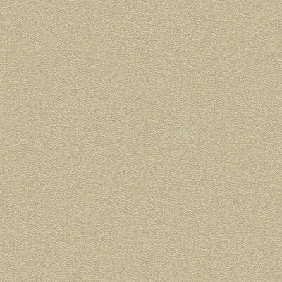 KRAVET DESIGN GRANA.1116.0 KRAVET DESIGN GRANA-1116 Fabric - Eade's Wallpaper