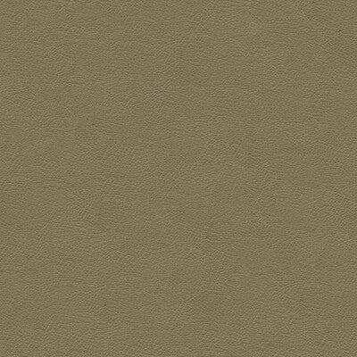 KRAVET DESIGN GRANA.11.0 KRAVET DESIGN GRANA-11 Fabric - Eade's Wallpaper