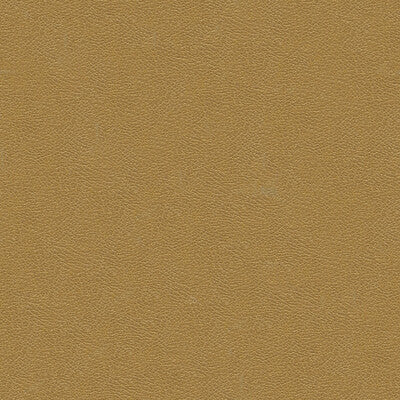 KRAVET DESIGN GRANA.1616.0 KRAVET DESIGN GRANA-1616 Fabric - Eade's Wallpaper