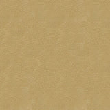 KRAVET DESIGN GRANA.16.0 KRAVET DESIGN GRANA-16 Fabric - Eade's Wallpaper