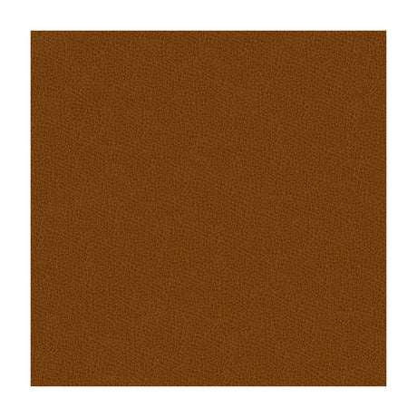 KRAVET DESIGN GRANA.616.0 KRAVET DESIGN GRANA-616 Fabric - Eade's Wallpaper