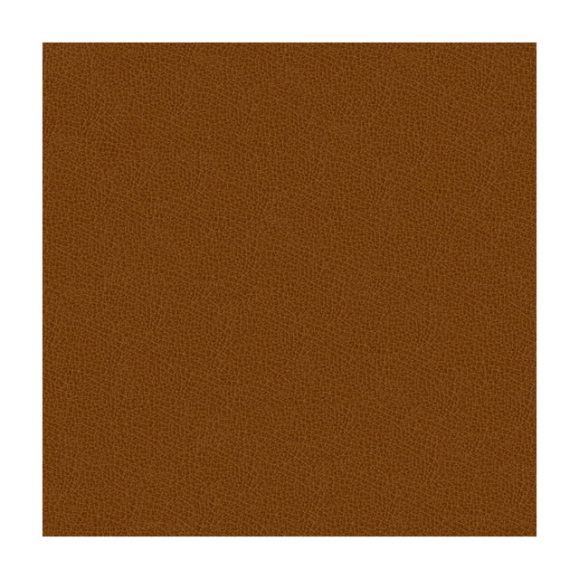 KRAVET DESIGN GRANA.616.0 KRAVET DESIGN GRANA-616 Fabric - Eade's Wallpaper