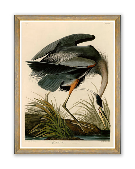 MindtheGap GREAT HERON by AUDUBON - Wallpaper Collection 2024