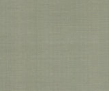 Eade’s Maguey Sisal Desert Sage