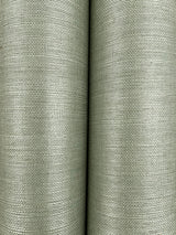 Eade’s Maguey Sisal Desert Sage