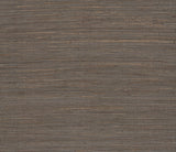 Eade’s Multicolored Hemp Eggplant