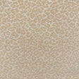 Eade’s GROEBER SAND SAND