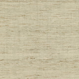 LEE JOFA MODERN GWF-3109.106.0 SONOMA SAND Fabric - Eade's Wallpaper
