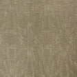 LEE JOFA MODERN GWF-3202.16.0 STARFISH NATURAL Fabric - Eade's Wallpaper