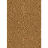 LEE JOFA MODERN GWF-3222.6.0 FIONA CHENILLE COPPER Fabric - Eade's Wallpaper