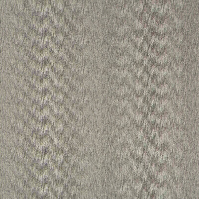LEE JOFA MODERN GWF-3742.18.0 AIGUILLE OBSIDIAN Fabric - Eade's Wallpaper