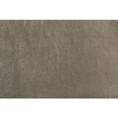 LEE JOFA MODERN GWL-3406.11.0 TROPHY SILVER Fabric - Eade's Wallpaper