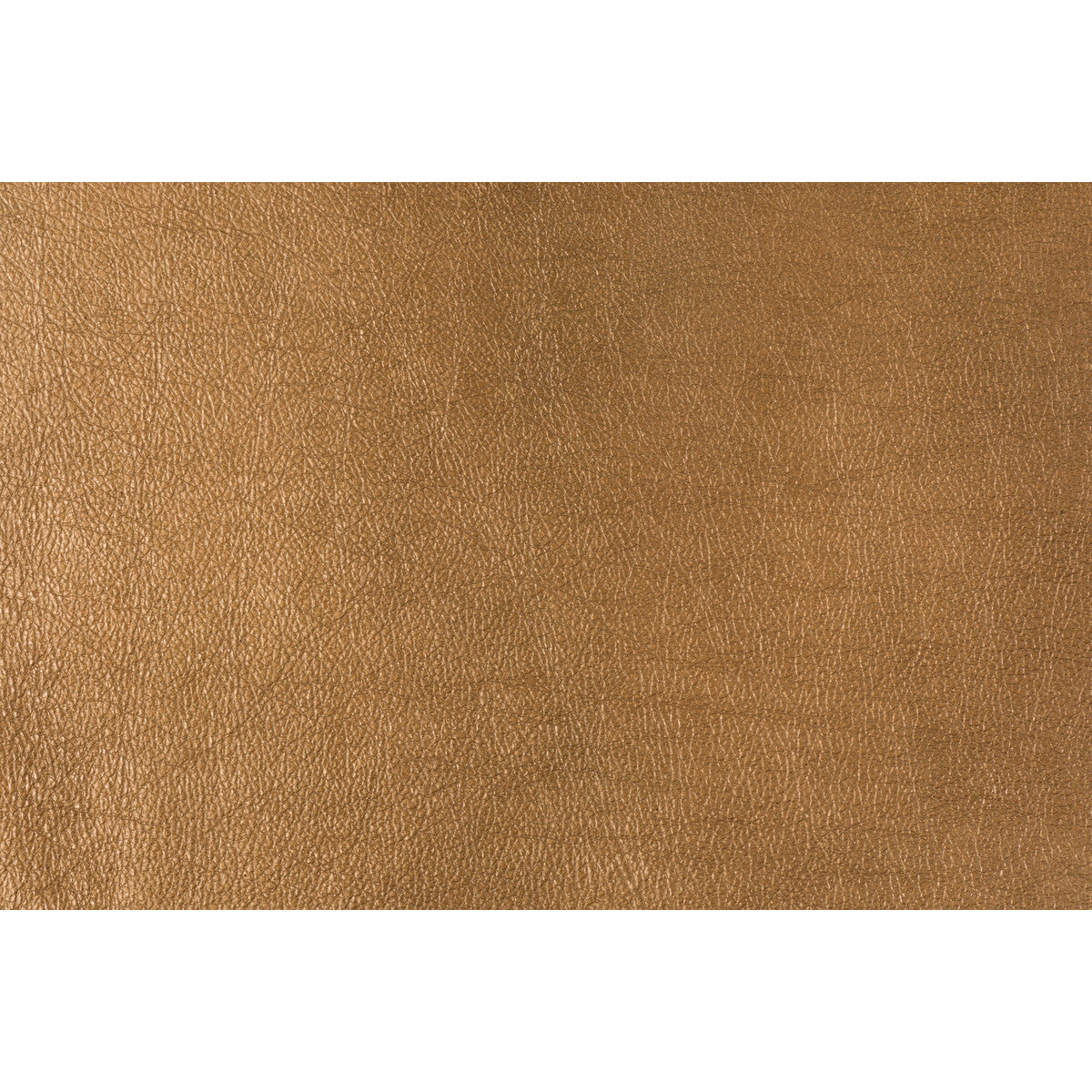 LEE JOFA MODERN GWL-3406.24.0 TROPHY COPPER Fabric - Eade's Wallpaper