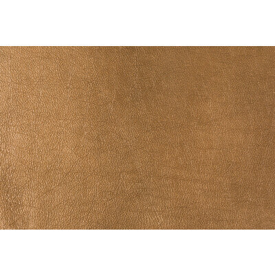 LEE JOFA MODERN GWL-3406.24.0 TROPHY COPPER Fabric - Eade's Wallpaper