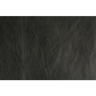 LEE JOFA MODERN GWL-3406.8.0 TROPHY GRAPHITE Fabric - Eade's Wallpaper