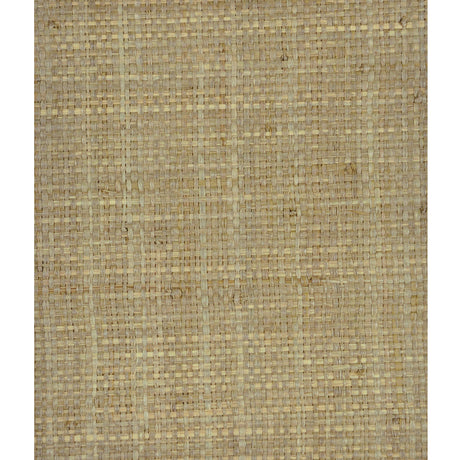 LEE JOFA MODERN GWP-3414.30.0 HEAVY RAFFIA SAGE Wallpaper - Eade's Wallpaper