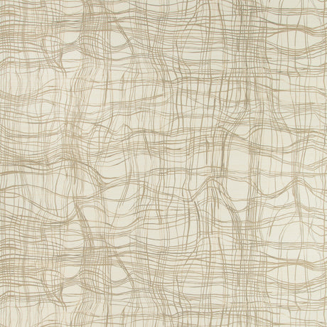 LEE JOFA MODERN GWP-3716.161.0 ENTANGLE PAPER ALMOND Wallpaper - Eade's Wallpaper