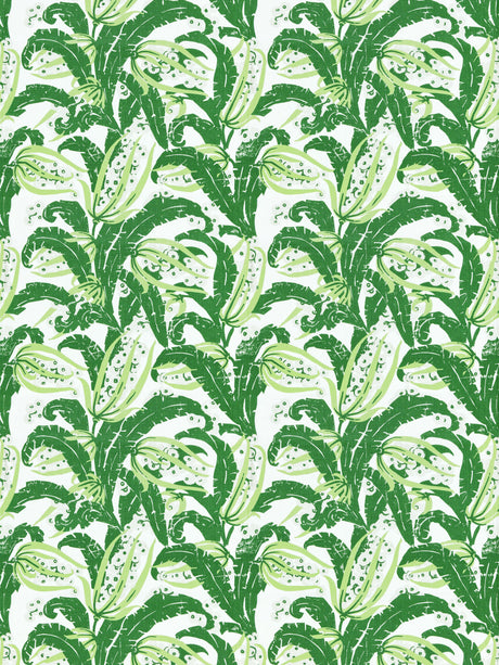 Scalamandre GW 000116609 PALM TROPIQUE Fabric