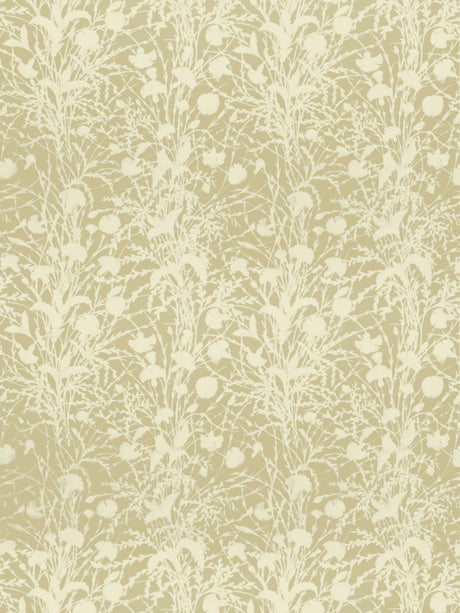 Scalamandre GW 000116623 OAT WILDFLOWER Fabric