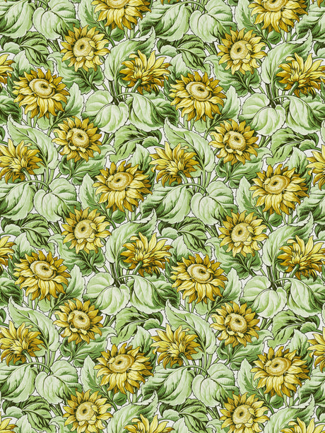 Scalamandre GW 000116631 HARVEST SUNFLOWER PRINT Fabric