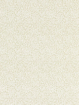 Scalamandre GW 000127228 FLAX ELODIE WEAVE Fabric