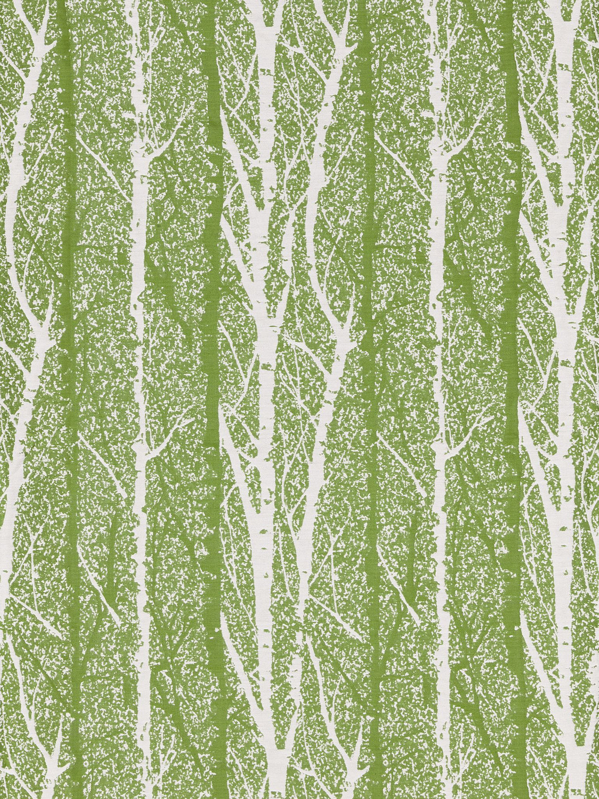 Scalamandre GW 000227205 SPRING GREEN BIRCH WEAVE Fabric