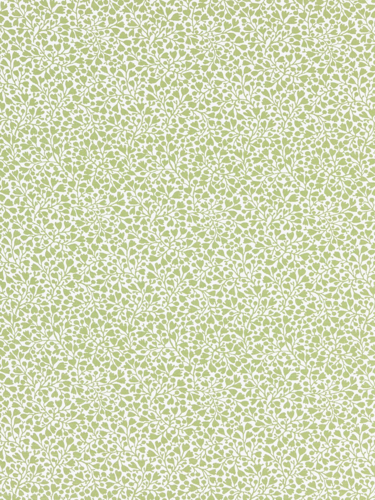 Scalamandre GW 000227228 WILLOW ELODIE WEAVE Fabric