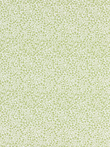 Scalamandre GW 000227228 WILLOW ELODIE WEAVE Fabric