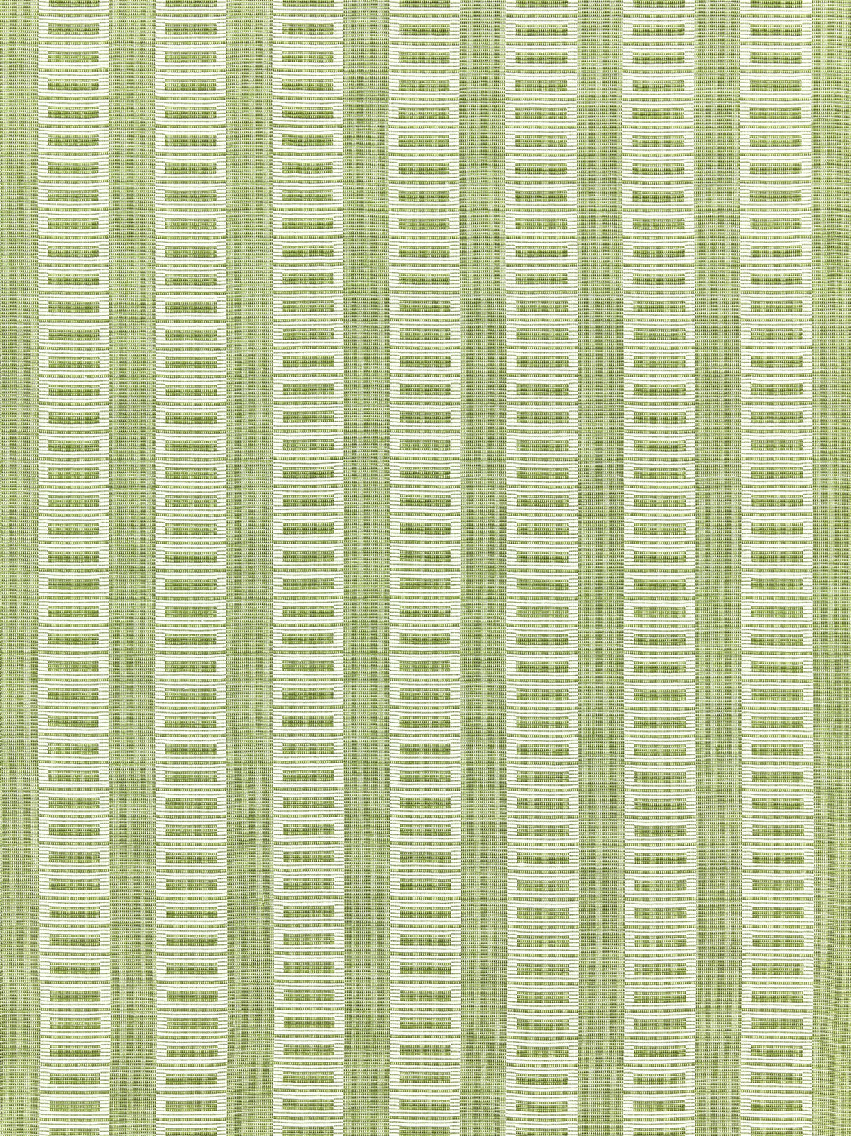 Scalamandre GW 000227245 GRASS LARK STRIPE Fabric