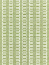 Scalamandre GW 000227245 GRASS LARK STRIPE Fabric