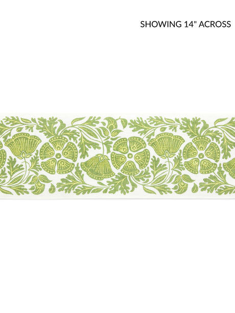 Scalamandre GW 0002T3330 LEAVES OF GRASS GRETEL PRINTED TAPE Fabric