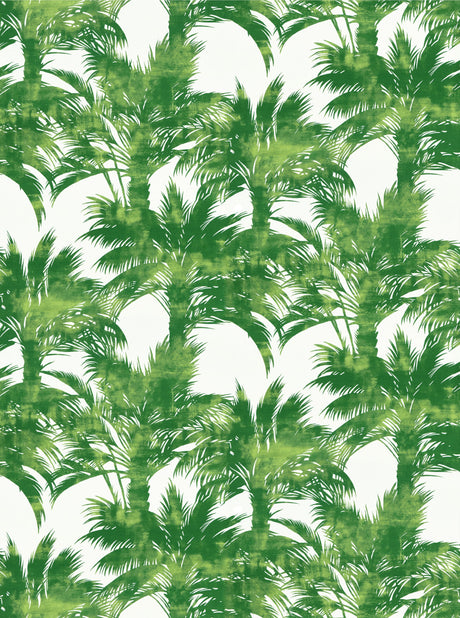 Scalamandre GW 000316610 PALM PALM PRINT Fabric