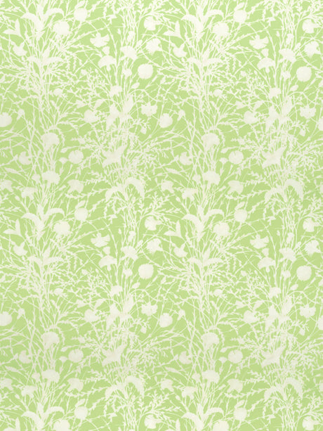 Scalamandre GW 000316623 GRASSHOPPER WILDFLOWER Fabric