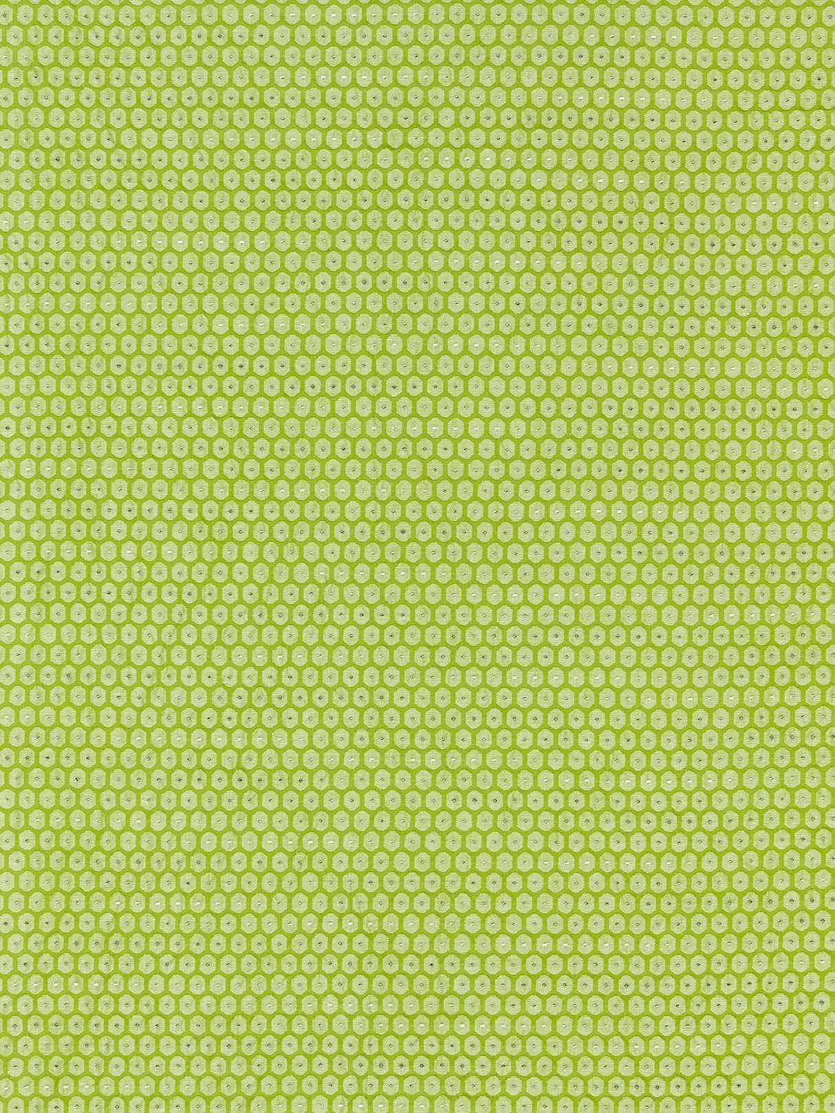 Scalamandre GW 000327209 KIWI HONEYCOMB WEAVE Fabric