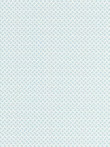 Scalamandre GW 000416618 SKY DASH & DOT PRINT Fabric