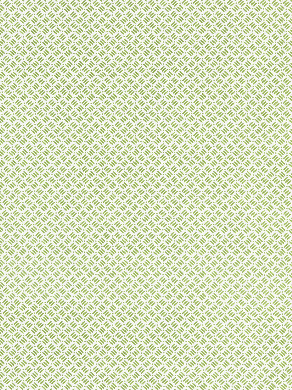 Scalamandre GW 000516618 SUGAR SNAP DASH & DOT PRINT Fabric