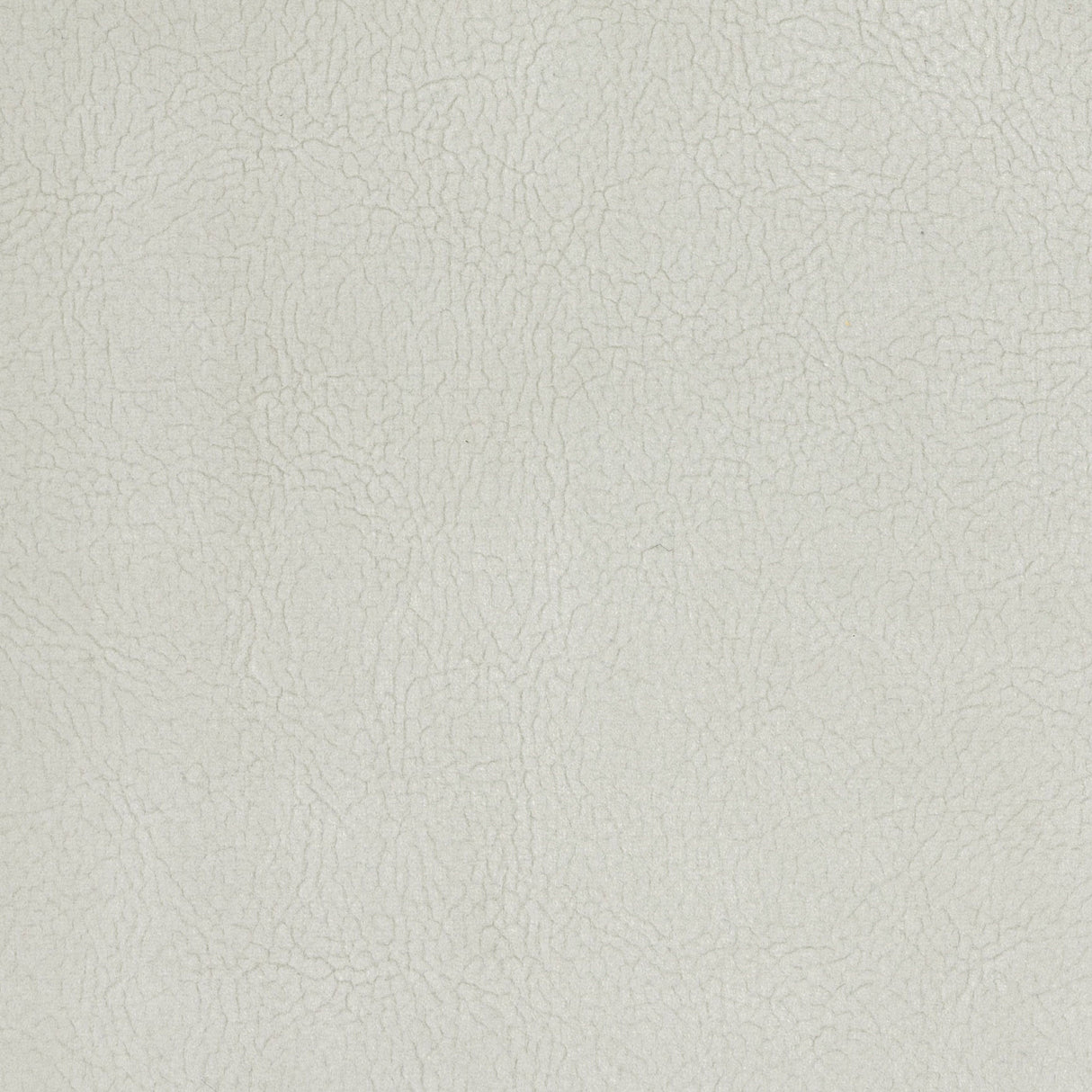 Scalamandre H6 37415937 GESSO GEORGIA SUEDE Fabric