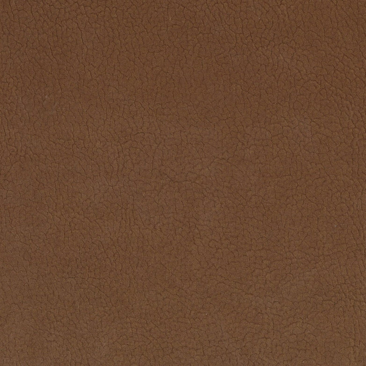 Scalamandre H6 37495937 CARIBOU GEORGIA SUEDE Fabric