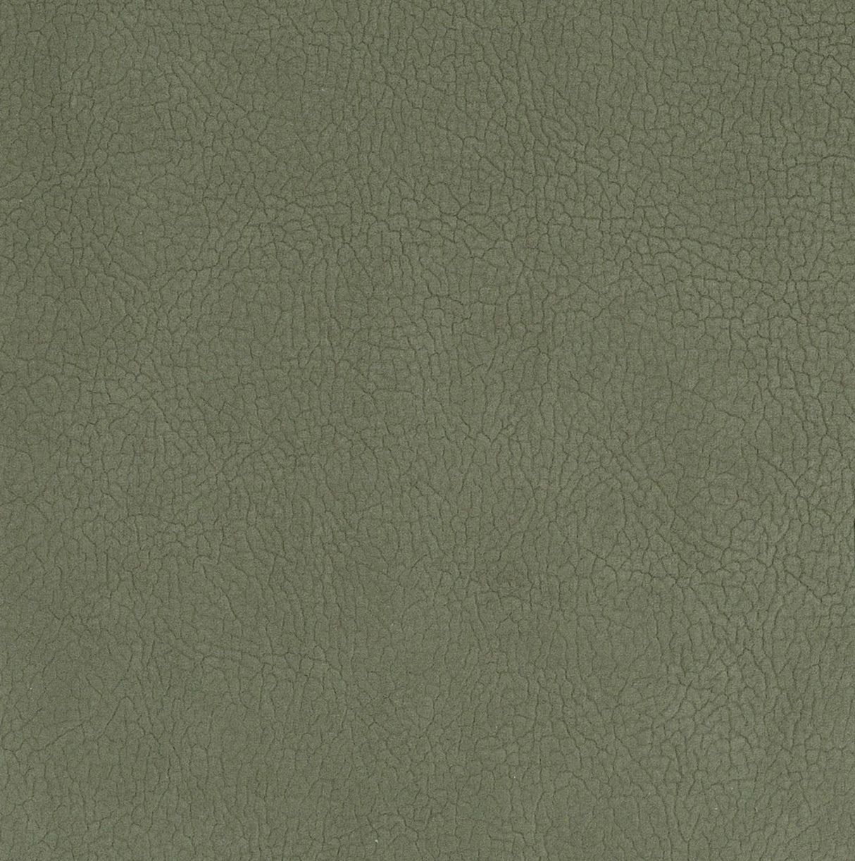 Scalamandre H6 37545937 SAGE GEORGIA SUEDE Fabric