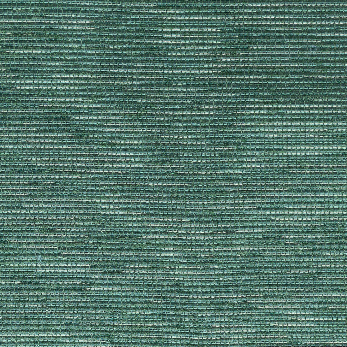 Eade's HAIN-5-sample FERN